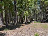 20945 Todd Valley Road - Photo 5