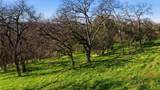 6594 Western Sierra Way - Photo 17