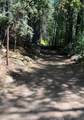 10192 Bull Creek Road - Photo 36