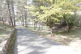 4617 Ringold Road - Photo 9