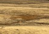 0 Hawk Trail - Photo 12