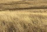 0 Hawk Trail - Photo 13
