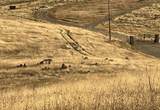 0 Hawk Trail - Photo 15