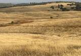 0 Hawk Trail - Photo 17