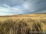 0 Hawk Trail - Photo 19