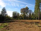 0 Steamers Ravine Road - Photo 1