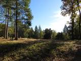 0 Steamers Ravine Road - Photo 10