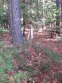 0 Steamers Ravine Road - Photo 12