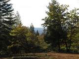 0 Steamers Ravine Road - Photo 13