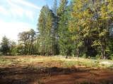0 Steamers Ravine Road - Photo 14