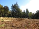 0 Steamers Ravine Road - Photo 15