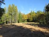 0 Steamers Ravine Road - Photo 16