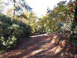 0 Steamers Ravine Road - Photo 18