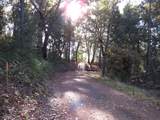 0 Steamers Ravine Road - Photo 20