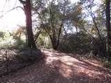 0 Steamers Ravine Road - Photo 21