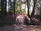 0 Steamers Ravine Road - Photo 5