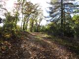 0 Steamers Ravine Road - Photo 6