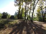 0 Steamers Ravine Road - Photo 7