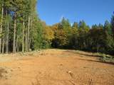 0 Steamers Ravine Road - Photo 8