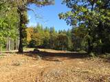 0 Steamers Ravine Road - Photo 9