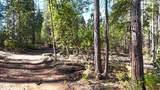 13492 Gracie Road - Photo 2