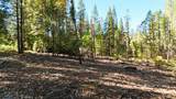 13492 Gracie Road - Photo 21