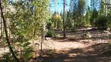 13492 Gracie Road - Photo 39