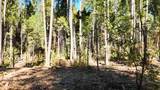 13492 Gracie Road - Photo 5
