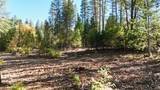 13492 Gracie Road - Photo 65
