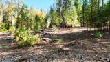 13492 Gracie Road - Photo 71