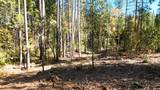 13492 Gracie Road - Photo 9