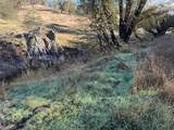 0 Vaira Ranch - Photo 24
