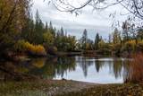 6100 Shasta Road - Photo 3