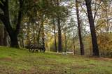 6100 Shasta Road - Photo 5