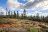 0 Black Tail Road - Photo 17