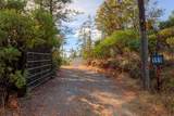 0 Black Tail Road - Photo 30