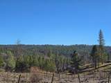 5200 Butte Creek Road - Photo 14