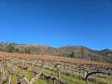 5200 Butte Creek Road - Photo 15