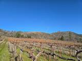 5200 Butte Creek Road - Photo 17