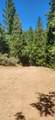 16949 Jones Ridge Road - Photo 1