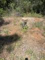 0 Providence Way - Photo 10
