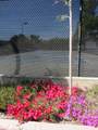 535 Pierce Street - Photo 41