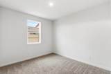 3050 Copper Rose Walk - Photo 24
