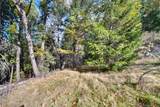 0 Starkes Grade Road - Photo 11