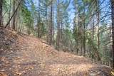 0 Starkes Grade Road - Photo 18