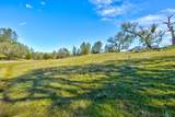 0 Lynch Canyon Road - Photo 13