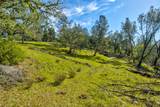 0 Lynch Canyon Road - Photo 21