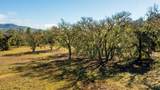 0 Lynch Canyon Road - Photo 41