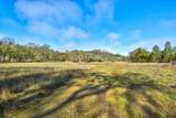 0 Lynch Canyon Road - Photo 5