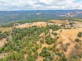 6340 Grizzly Flat Road - Photo 11